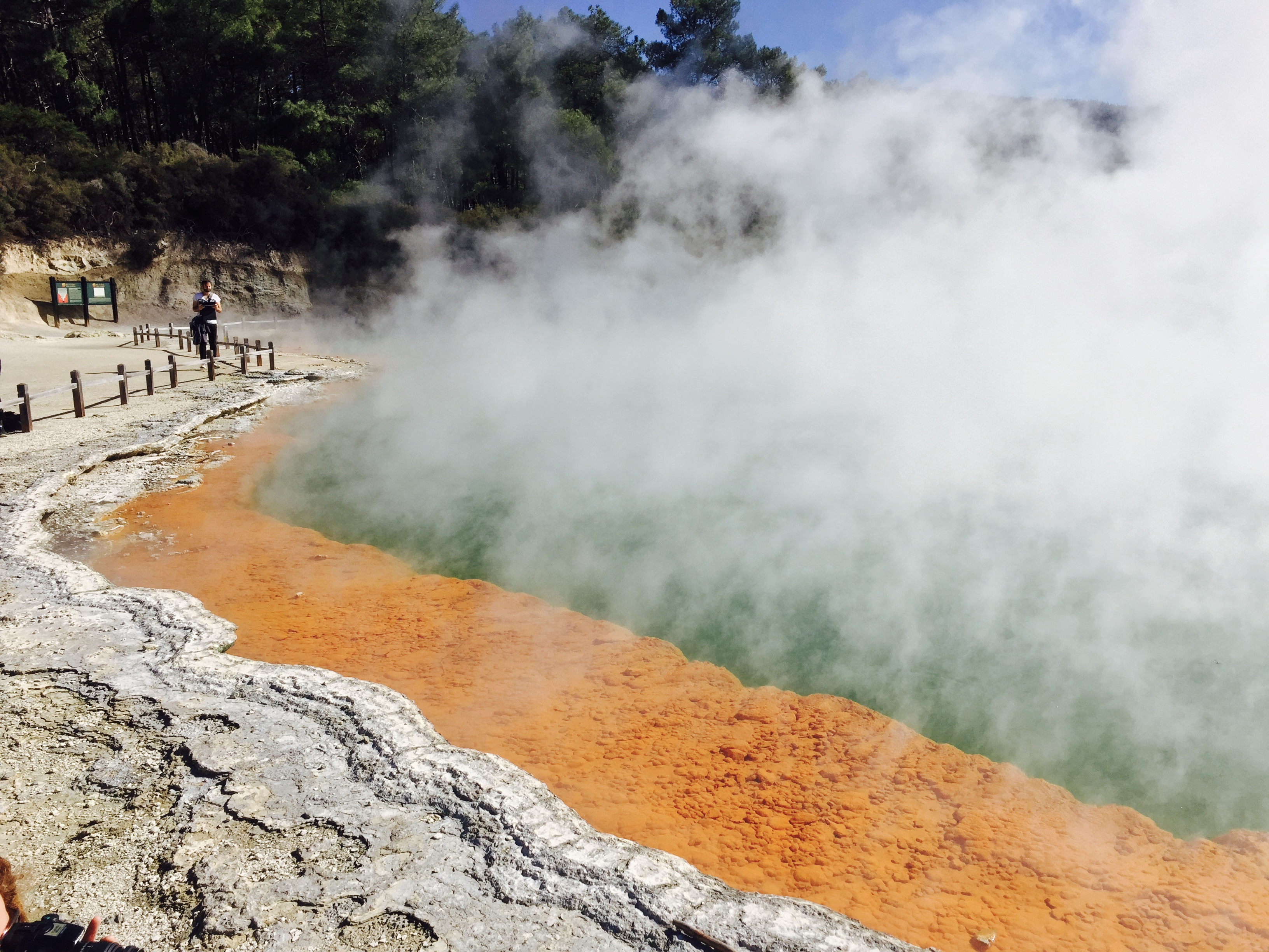 Rotorua, pool, new Zealand, champagne pool, colourful, natuur,